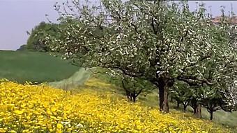 Celoten Film O Jedenju In Jebanju Šolark