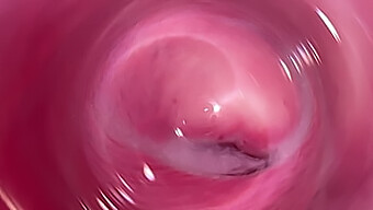 Close Up Of My Tight Pussy Getting A Camera Massage