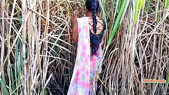 Teen (18+) Gets Fucked By Indian Aunty In Sugarcane Field