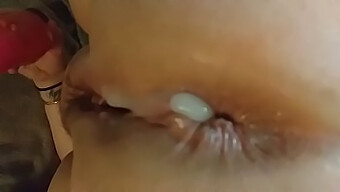 Koleksi Creampie Anal Amatur!