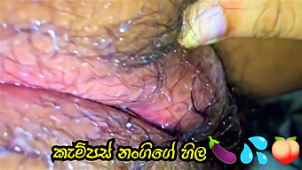 New Sri Lankan Condom Fun With Campus Nangita